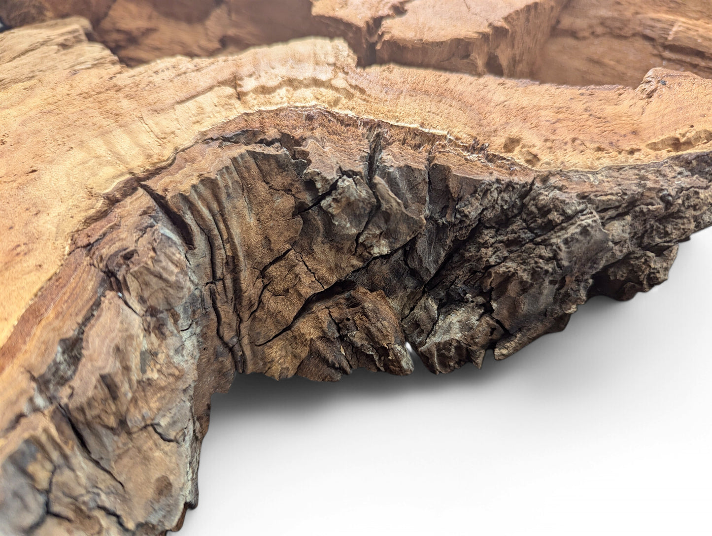 Textured weeping willow wood slab displays light brown interior, dark bark, and irregular, decay-like edges.