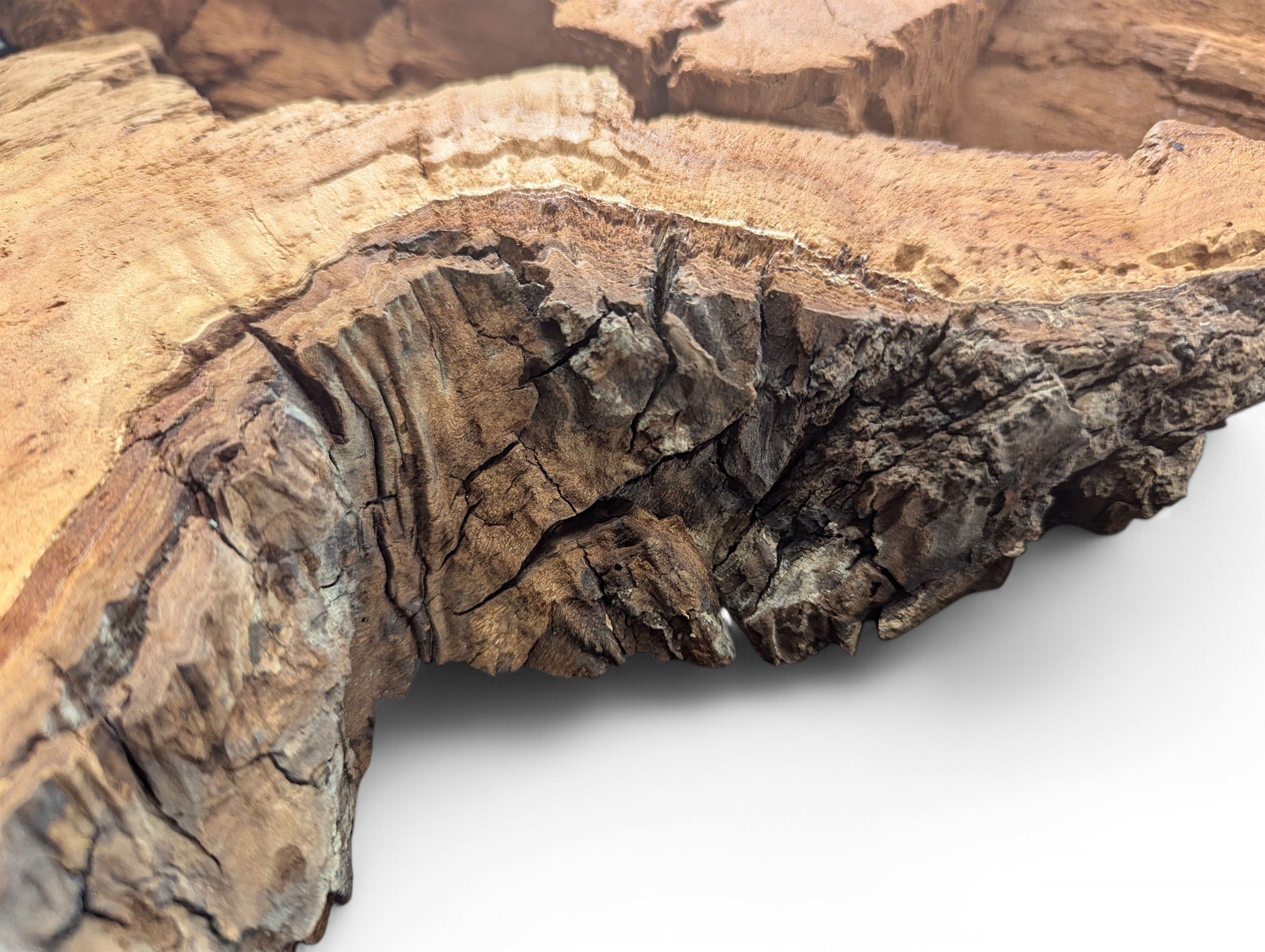 Textured weeping willow wood slab displays light brown interior, dark bark, and irregular, decay-like edges.