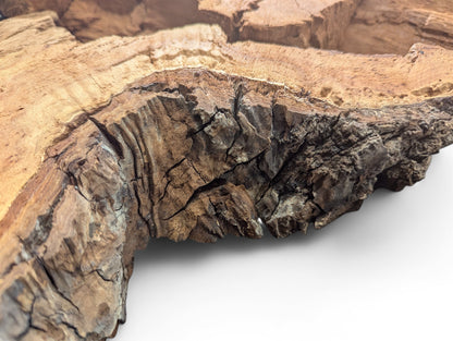 Textured weeping willow wood slab displays light brown interior, dark bark, and irregular, decay-like edges.