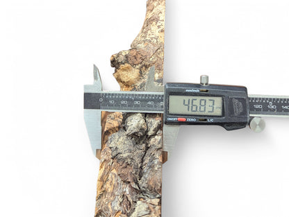 Digital caliper measures a textured, brown and grey wood piece, displaying 46.83 mm on its screen.