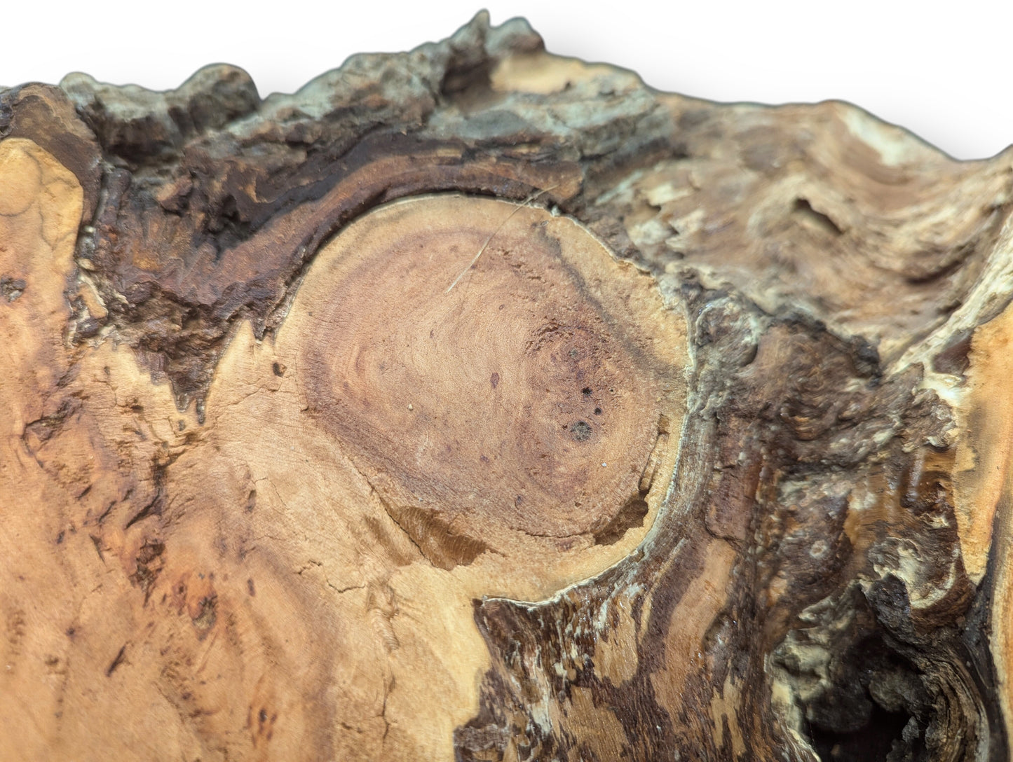 Close-up of a light brown willow wood slice with irregular gnarled textures and a distinct circular grain pattern.