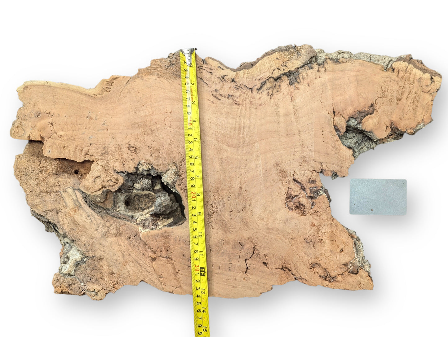 This irregular light brown willow slab has gnarled edges, a central void, yellow measuring tape, and grey object.
