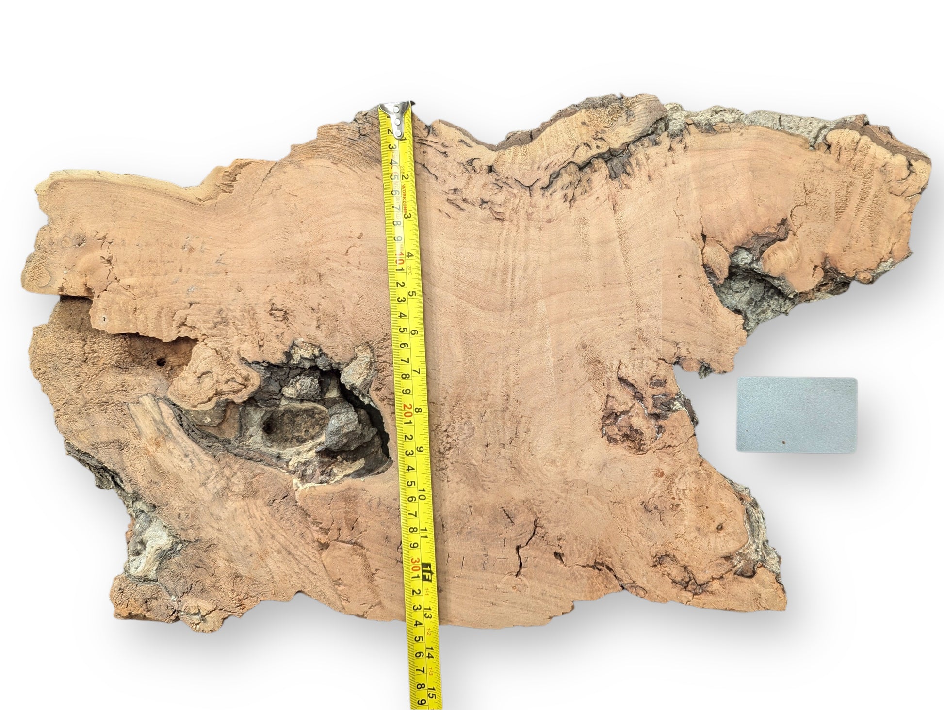 This irregular light brown willow slab has gnarled edges, a central void, yellow measuring tape, and grey object.