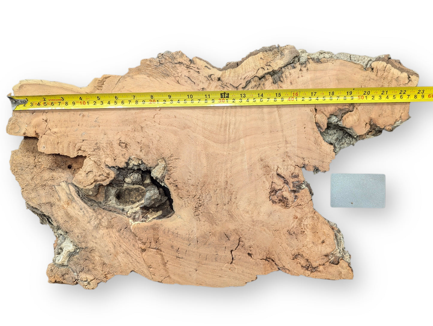 Irregular light brown willow slab, gnarled dark edges, decay-like texture, a central void, and measuring tape.