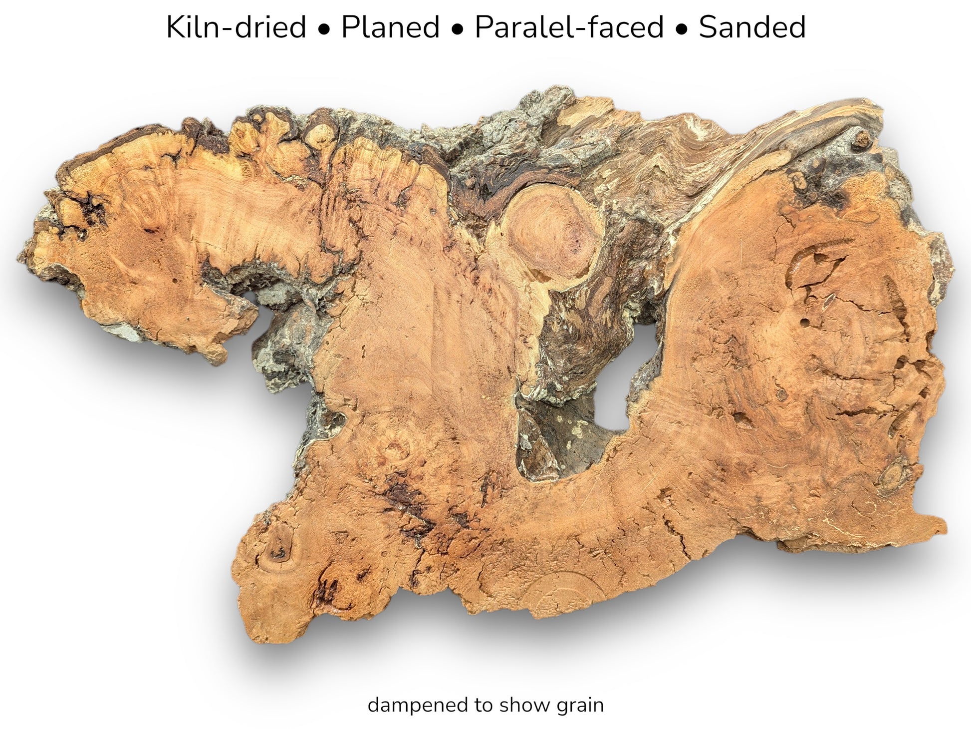 A gnarled willow slab shows a large central void, swirling grain, and rugged edges.