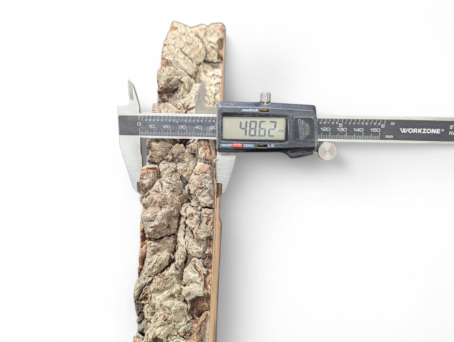 A digital caliper displays 48.62mm, measuring the thickness of a rough, light brown willow wood slice.