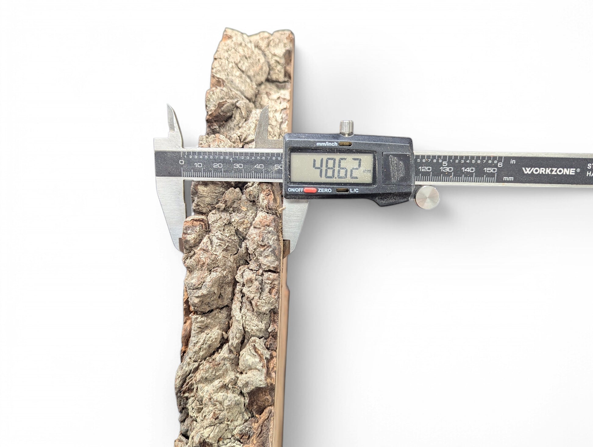 A digital caliper displays 48.62mm, measuring the thickness of a rough, light brown willow wood slice.