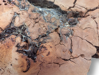 Close-up of an irregular, light brown willow wood slice with deep cracks and dark, decay-like fissured areas.