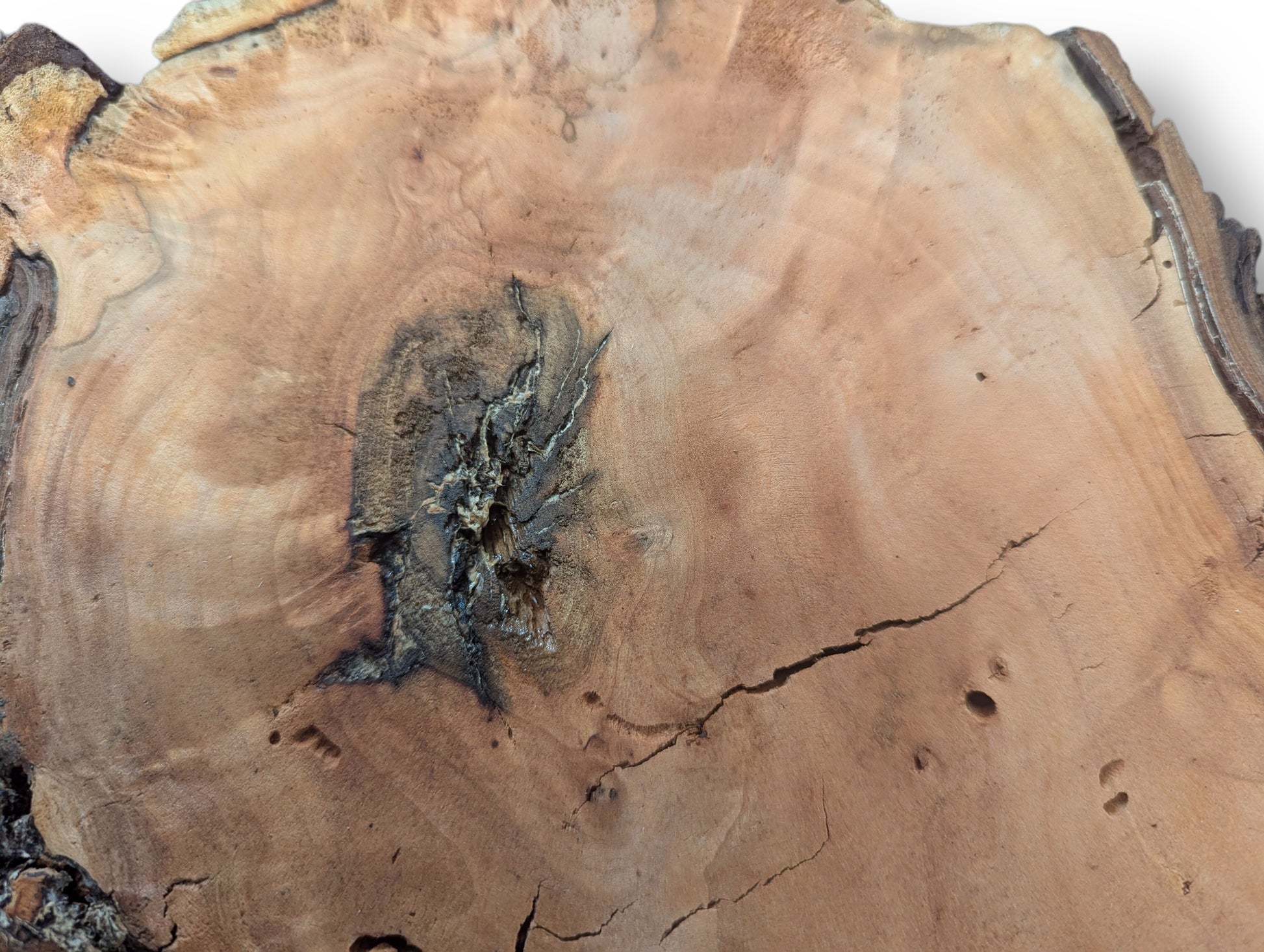 An irregular, light brown willow wood slice shows a dark, central decay-like knot, prominent cracks, and fissured edges.