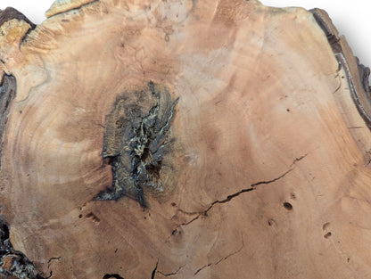 An irregular, light brown willow wood slice shows a dark, central decay-like knot, prominent cracks, and fissured edges.