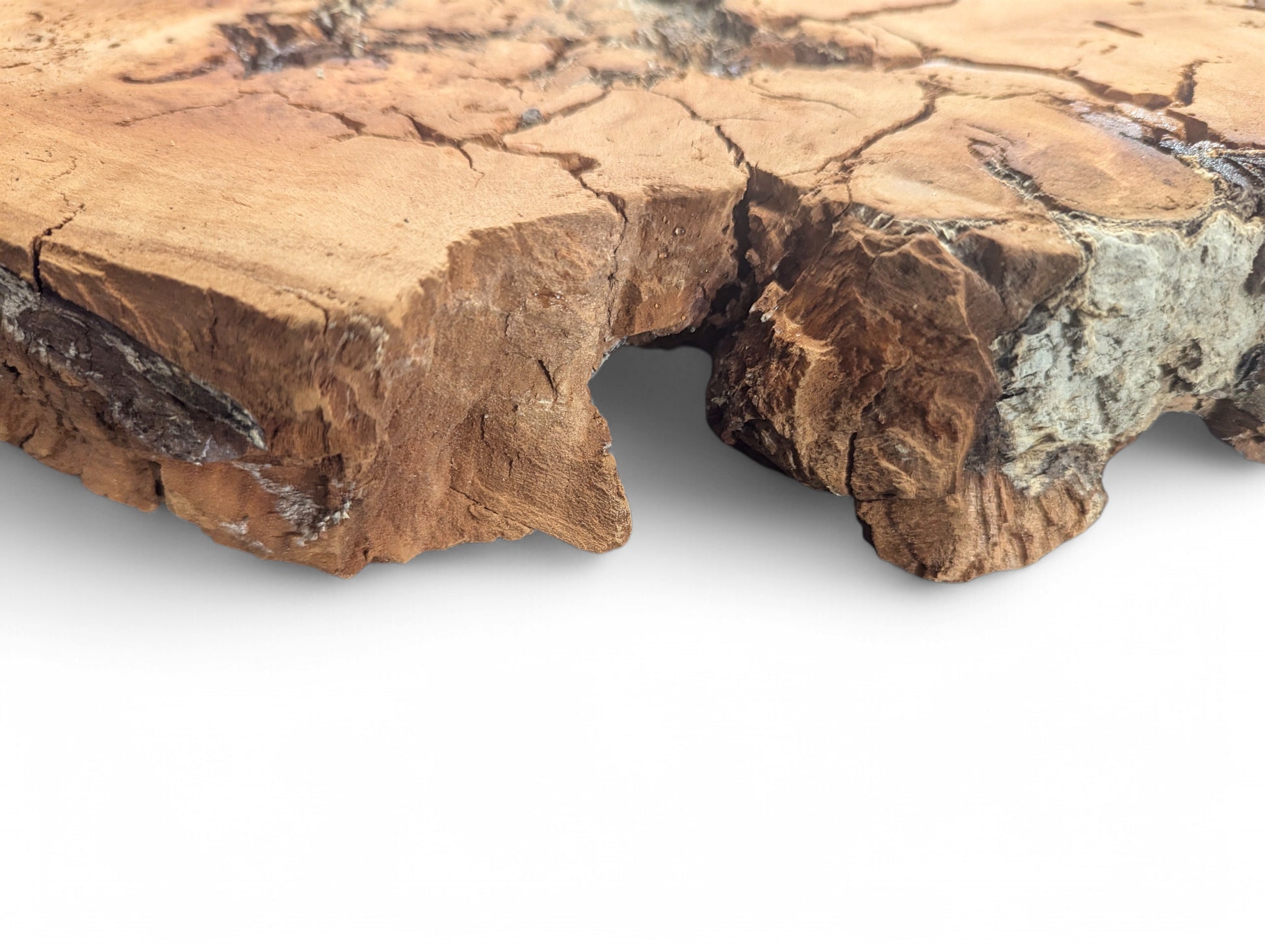 Rough-hewn light brown willow wood slice features extensive surface cracks and deeply fissured, irregular edges.