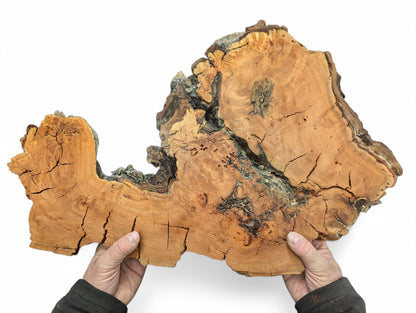 Human hands hold an irregular willow wood slab, light brown, with prominent cracks and natural dark texture.