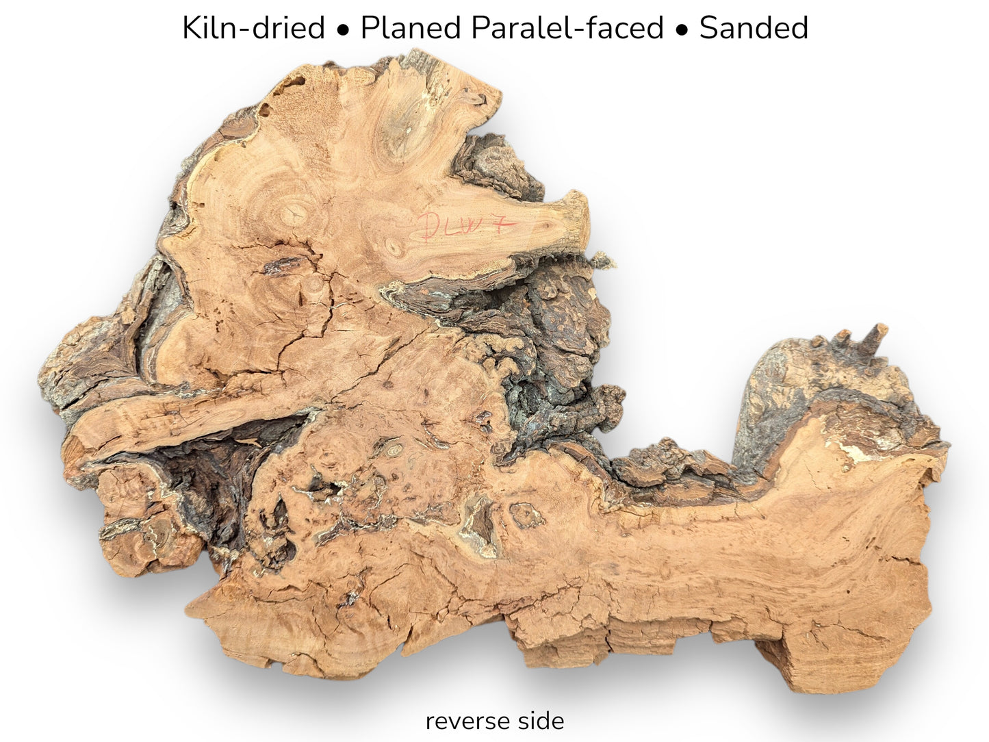 Irregular light brown willow wood slab, reverse side, with prominent grain, cracks, rough texture, and text overlay.