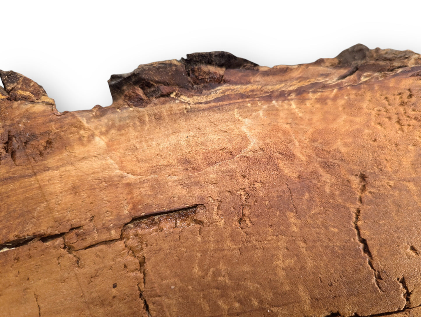 Close-up of an irregular brown weeping willow wood slab featuring rough, deeply cracked, decay-like texture.