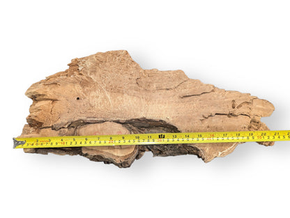 This irregular, pale brown weeping willow wood slab shows deeply cracked, rough texture and a yellow measuring tape.