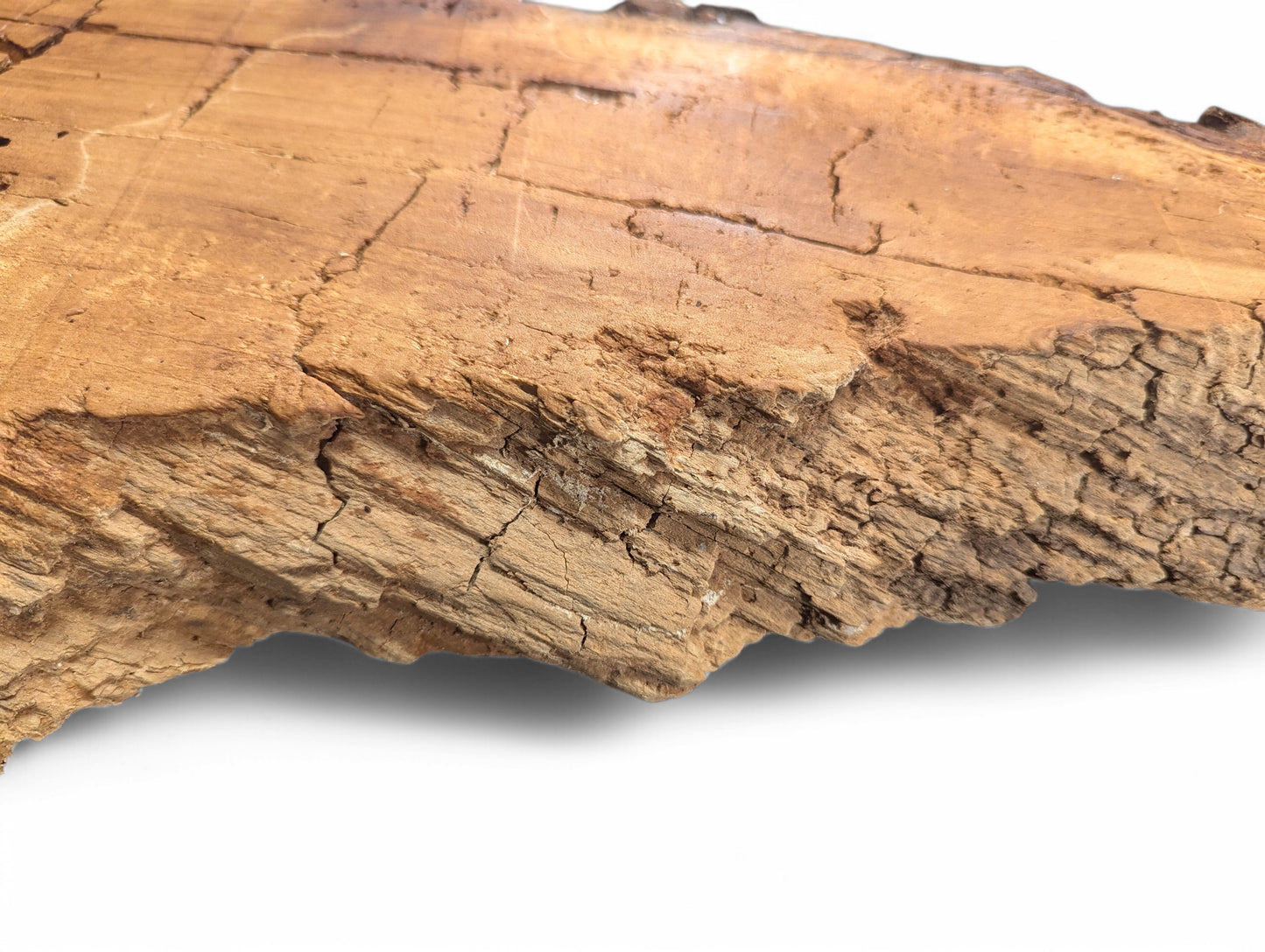 Close-up of a light brown weeping willow wood slab's deeply cracked, rough, and splintered texture.