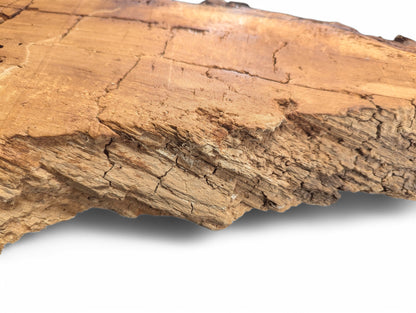 Close-up of a light brown weeping willow wood slab's deeply cracked, rough, and splintered texture.