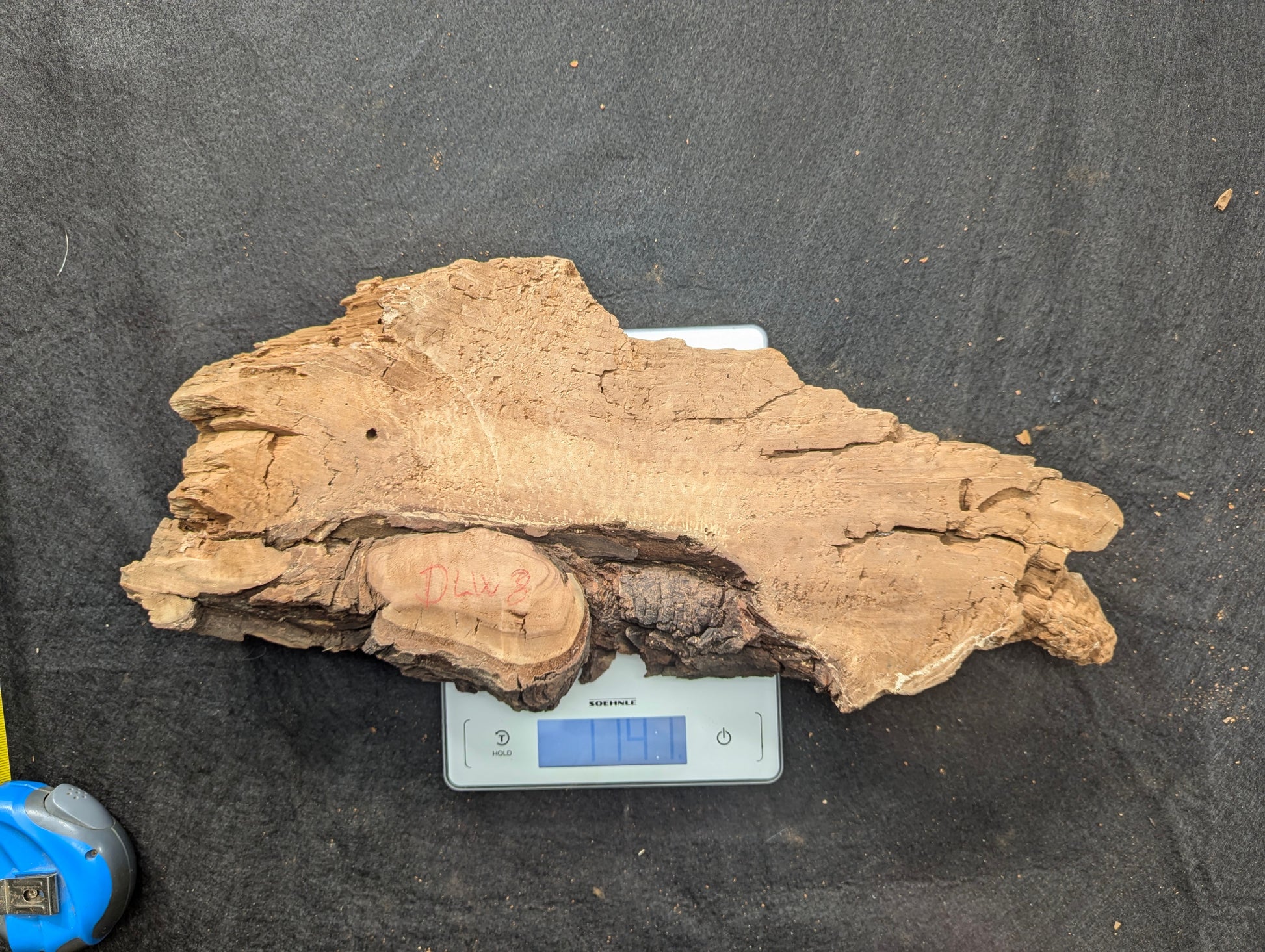 Light brown, irregular weeping willow wood slab with rough, decay-like texture on scale displaying 1.4.