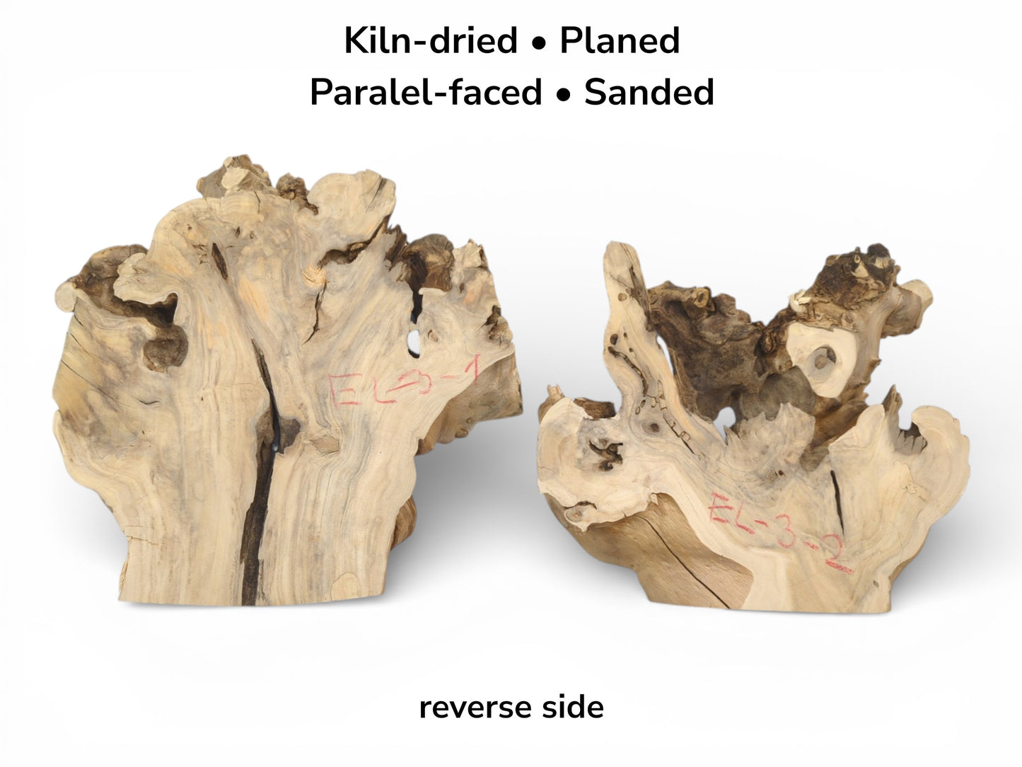 Image with text details shows the reverse side of two sanded, parallel-faced elderberry wood burl slices.