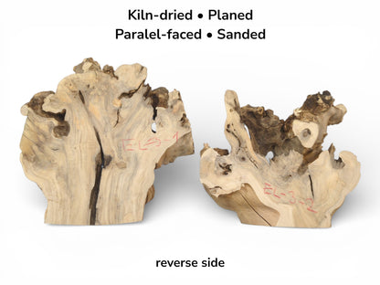 Image with text details shows the reverse side of two sanded, parallel-faced elderberry wood burl slices.