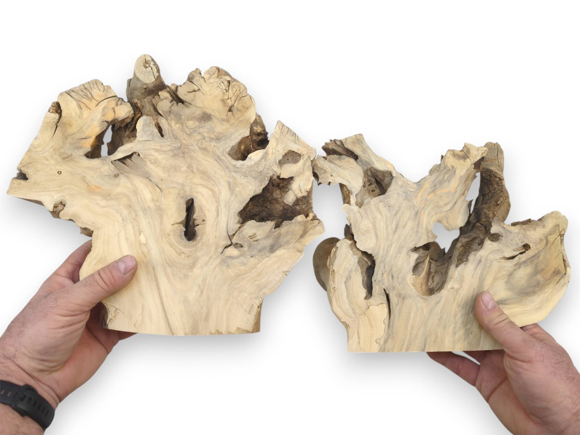A bookmatched set of elderberry burl slices is held apart to display the mirrored interior grain.