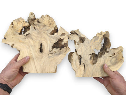 A bookmatched set of elderberry burl slices is held apart to display the mirrored interior grain.