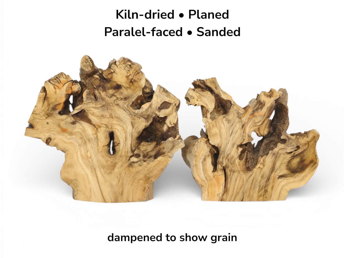 Informational image showing two prepared elderberry burls, standing upright and dampened to reveal detailed grain.