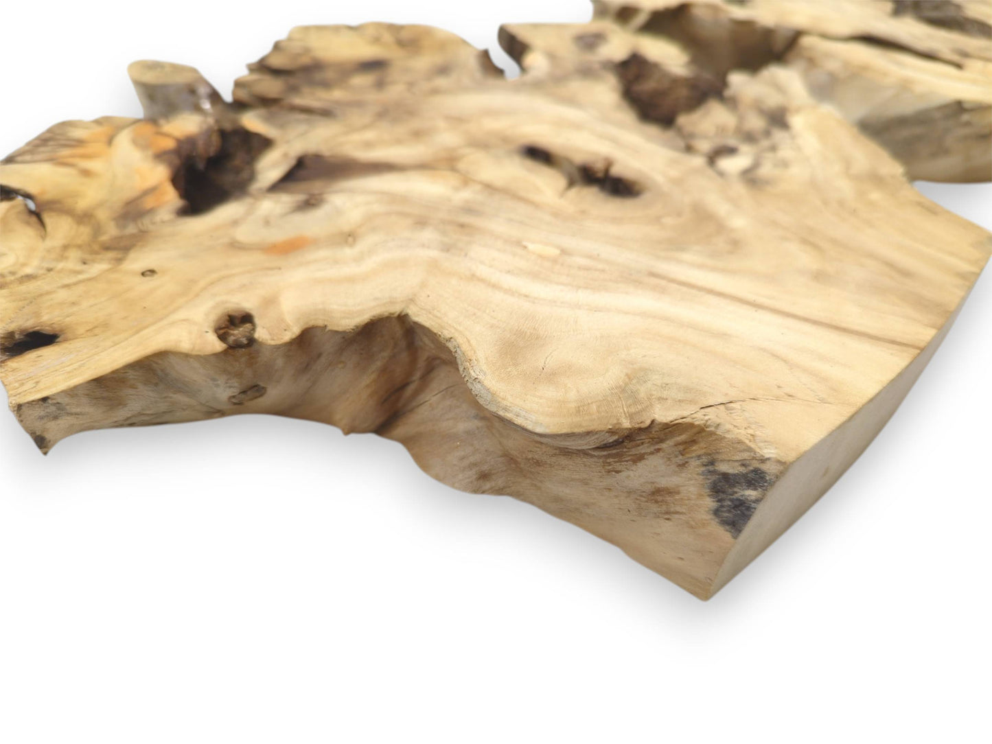An angled shot capturing the thickness and detailed live edge of a light-toned elderberry burl slice.