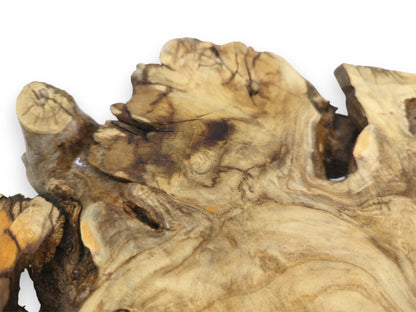 A detailed view of an elderberry burl's surface showing dark mineral streaks across the wavy grain.