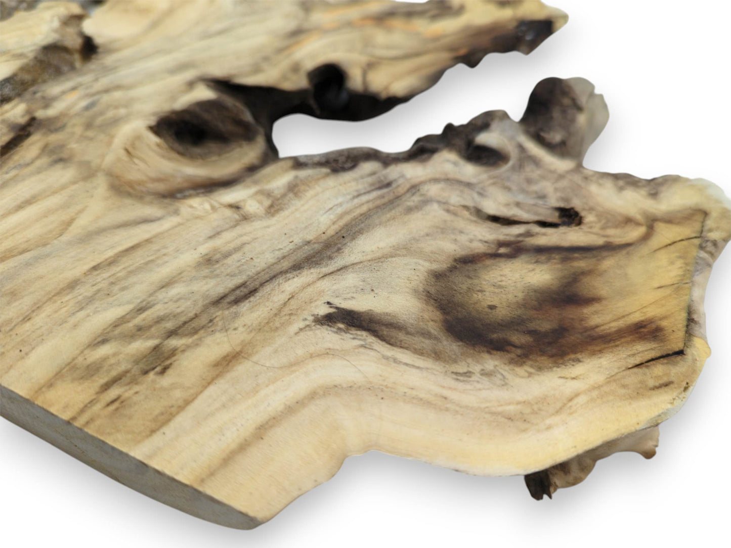 High-angle perspective of a pale wood burl slice, showcasing dark, flowing figures and a circular knot.