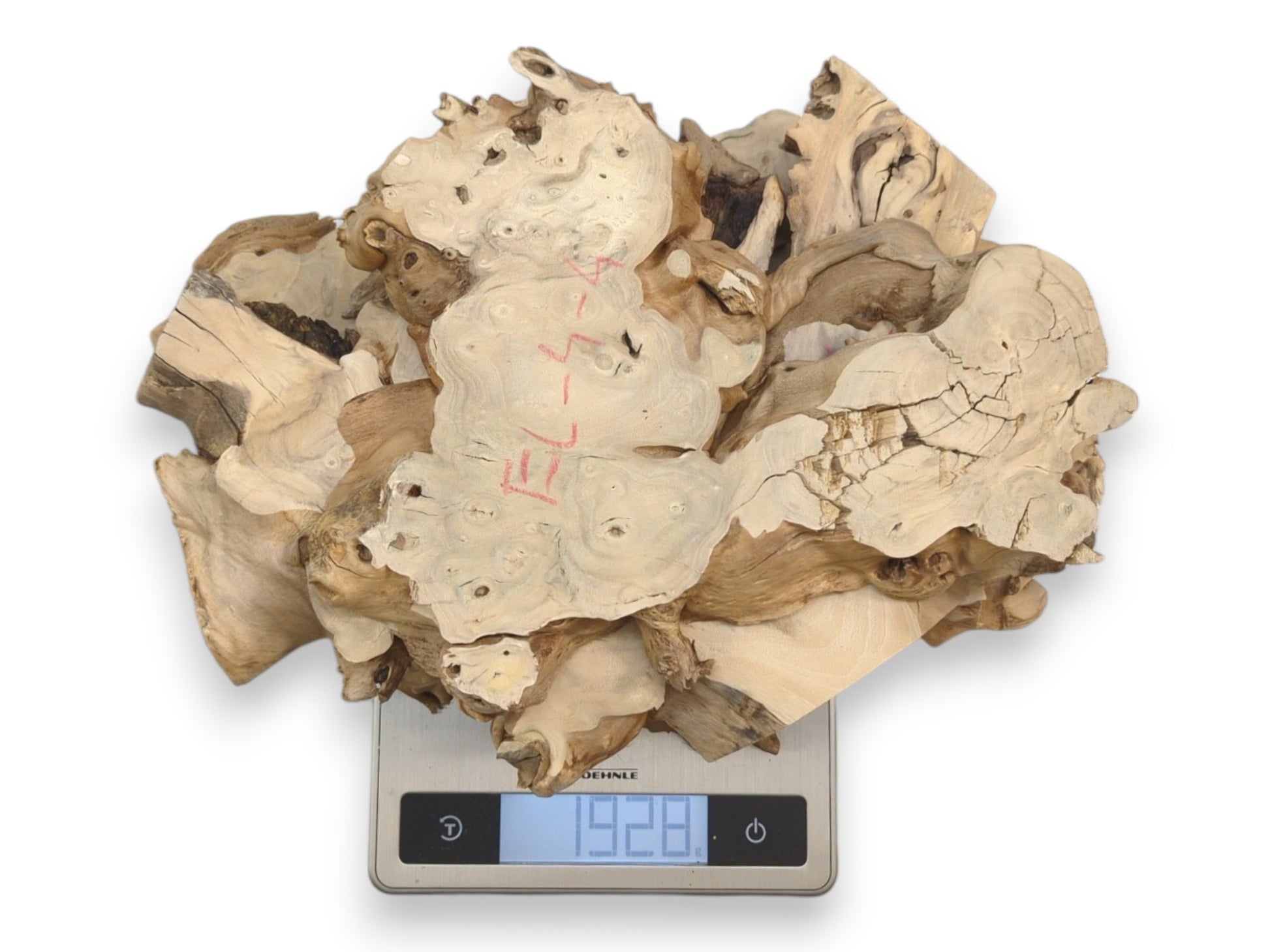 From above, a cluster of pale, knotty root sections sits on a digital scale.