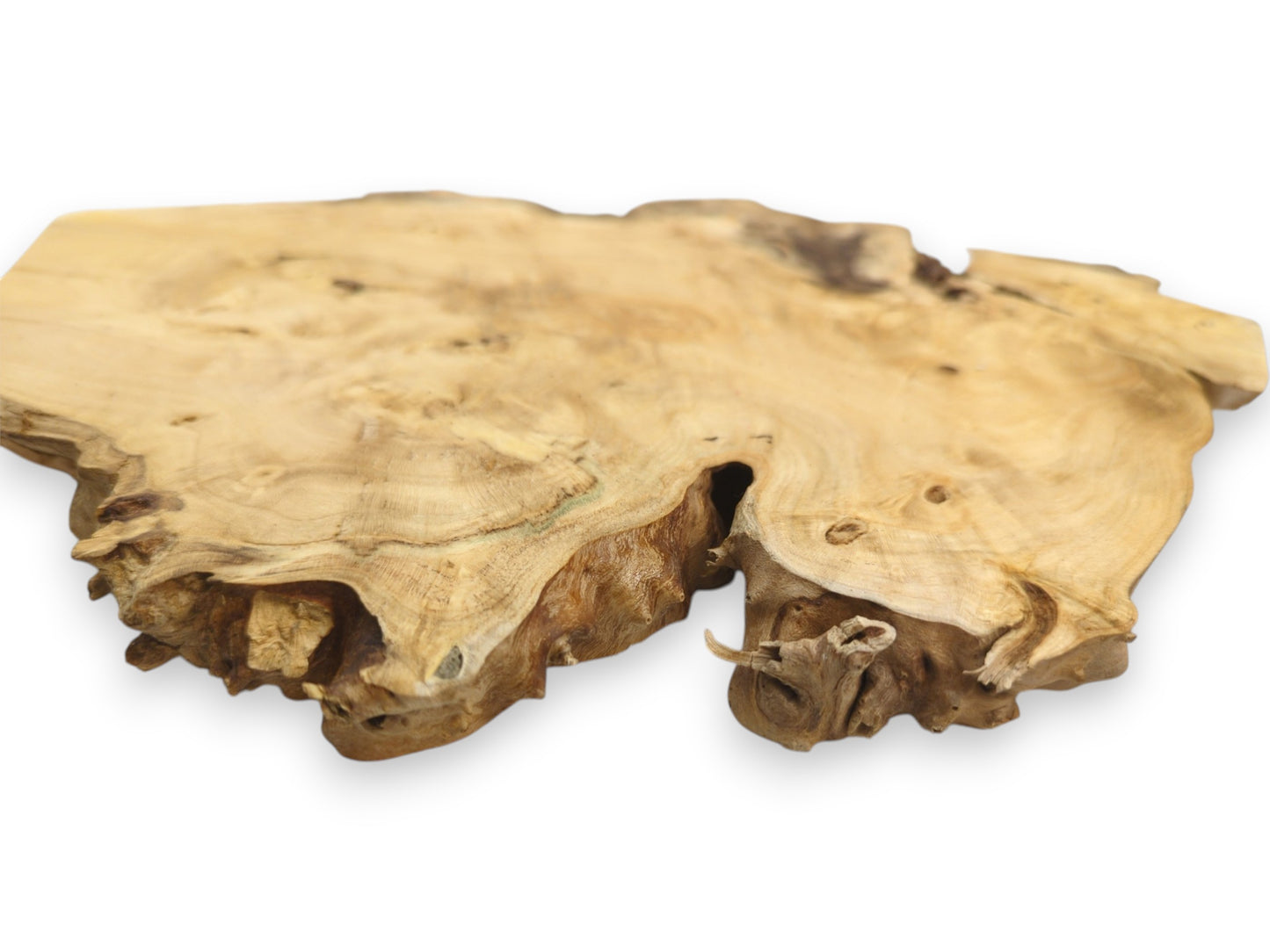 A pale wood slab rests at an angle, its rugged, gnarled foreground edge sharply focused.