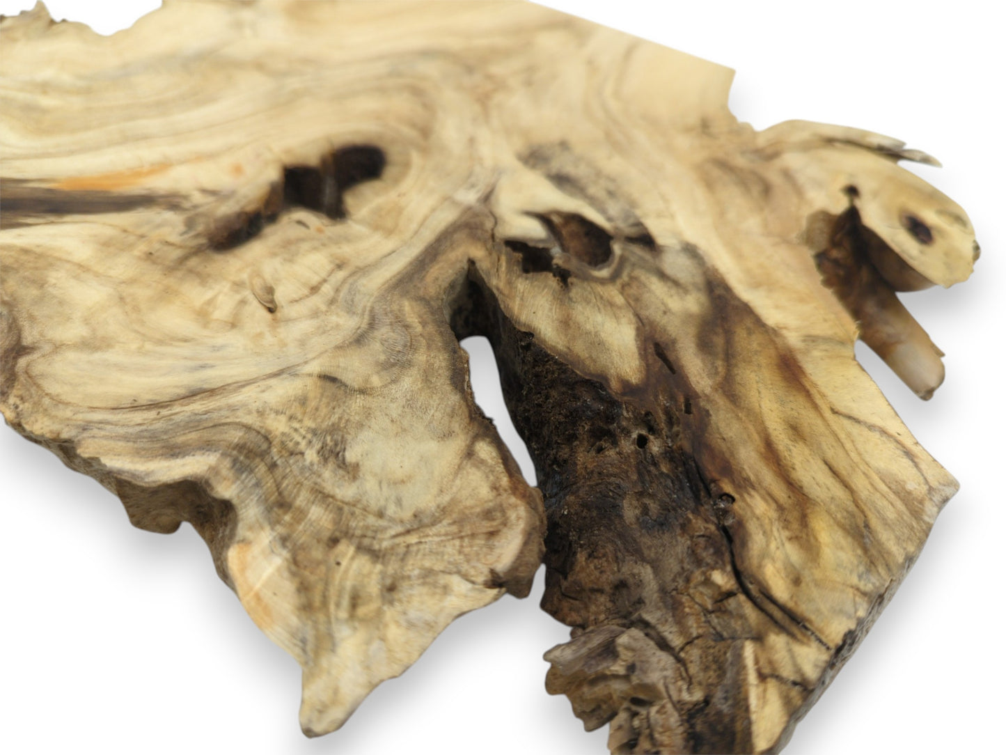 A pale, gnarled burl section reveals contoured grain flowing into a dark, textured central crevice.