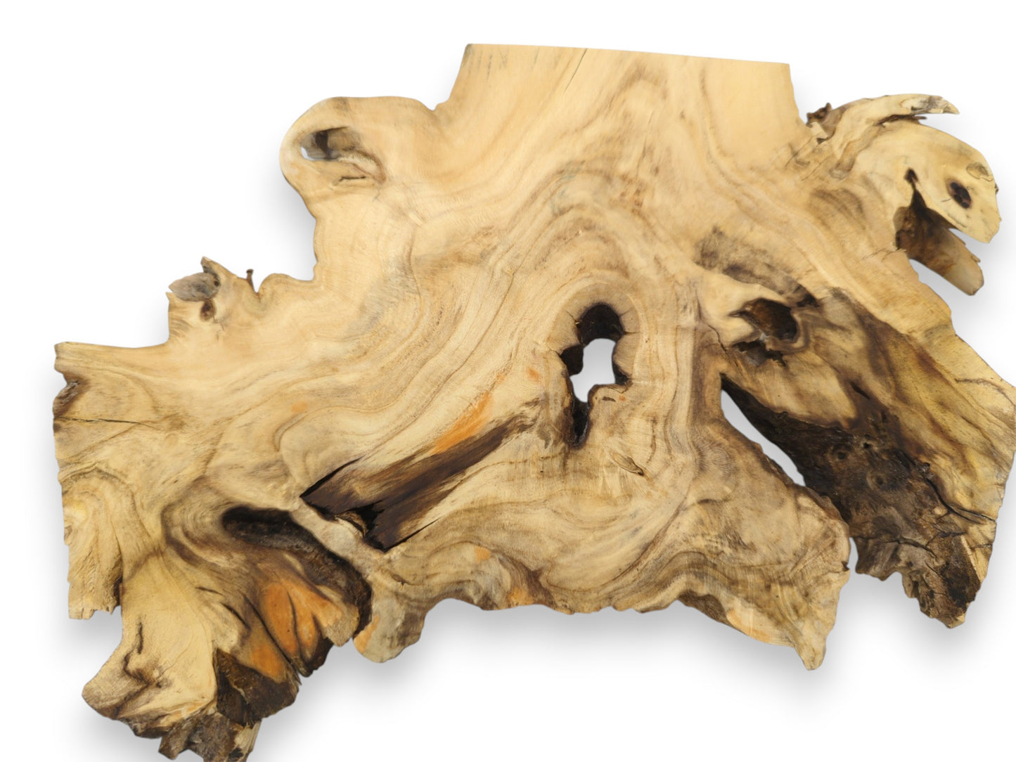 A single, freeform timber piece shows wavy figuring around dark, natural apertures and edges.