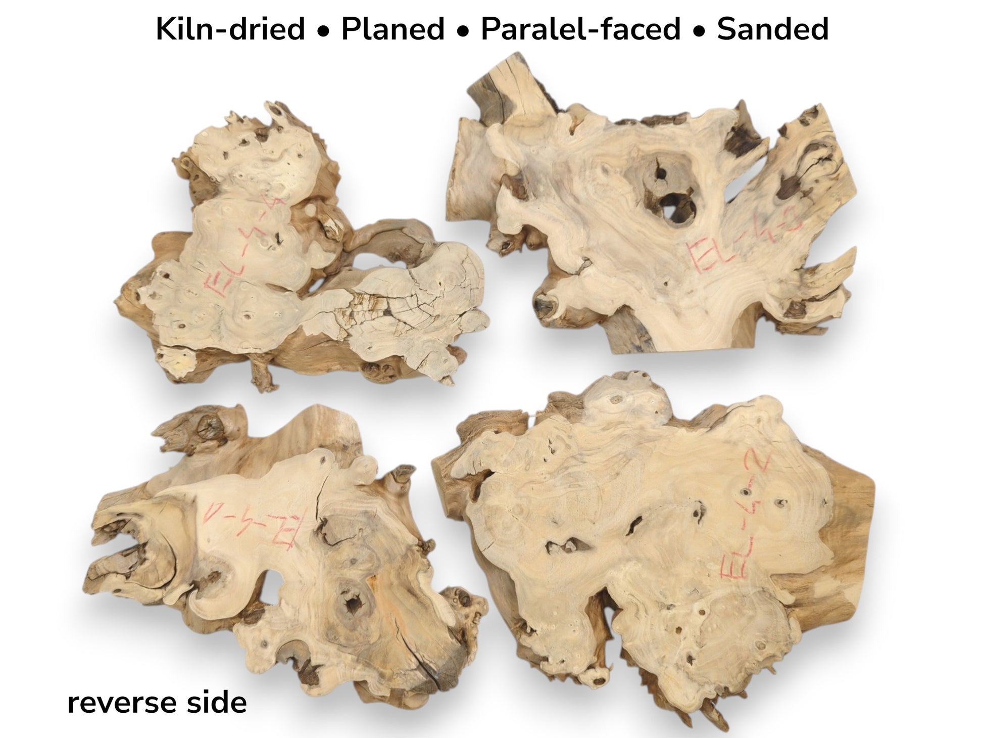 Four pale, sanded timber burls display organic voids, irregular live edges, and red markings.