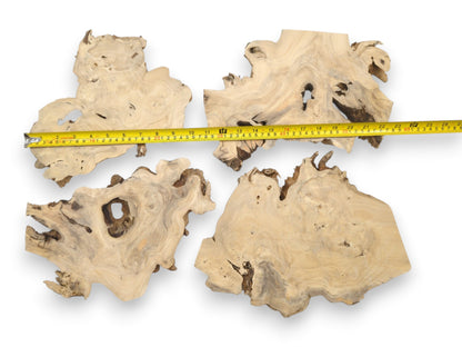 A yellow tape measure stretches across four irregular, light-toned timber slabs with natural voids.