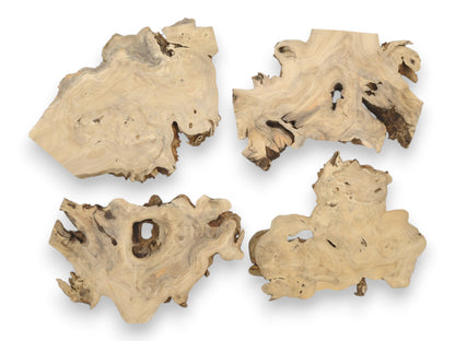 Four light-colored burl sections display swirling grain patterns and dark, organic cavities.