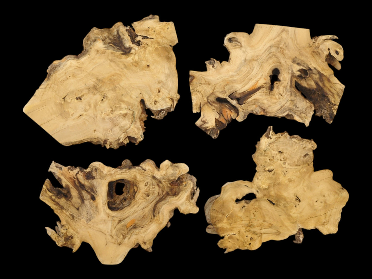 Four light-toned wood sections arranged flat, showing marbled grain and dark, hollowed cavities.