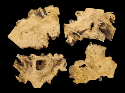 Four light-toned wood sections arranged flat, showing marbled grain and dark, hollowed cavities.