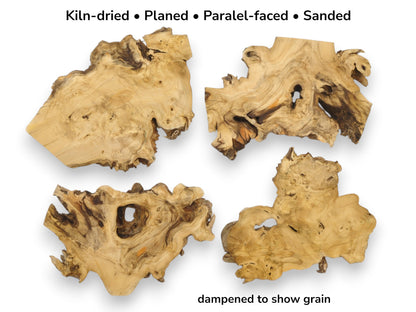 Four gnarled timber sections laid flat, revealing swirling grain, dark knots, and organic voids.