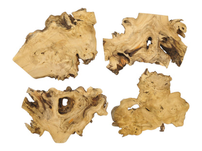 Four organically shaped lumber pieces with complex figuring and dark knots on a white background.