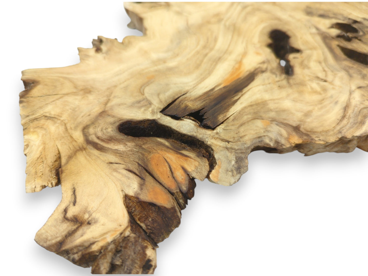An irregular timber cross-section displays undulating grain patterns surrounding dark, glossy pockets and fissures.