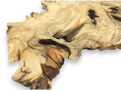 An irregular timber cross-section displays undulating grain patterns surrounding dark, glossy pockets and fissures.