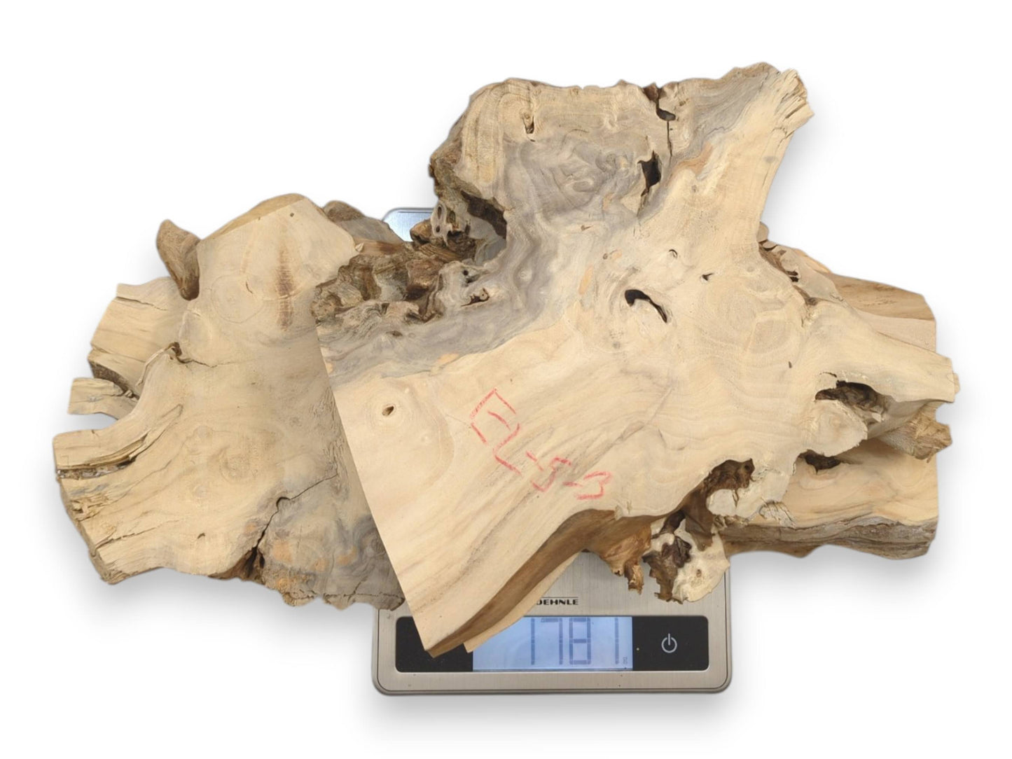 A digital scale weighs four stacked, pale wood slabs with rugged bark and red marks.