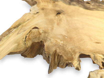 Concentric growth rings flow across a light-colored wood slab with a fractured, raw perimeter.