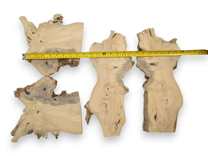 A yellow tape measure spans four pale, organic-shaped wood cuts with unfinished, bark-lined edges.