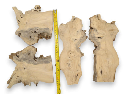 Four pale, gnarled timber sections with greyish grain are displayed beside a measuring tape.