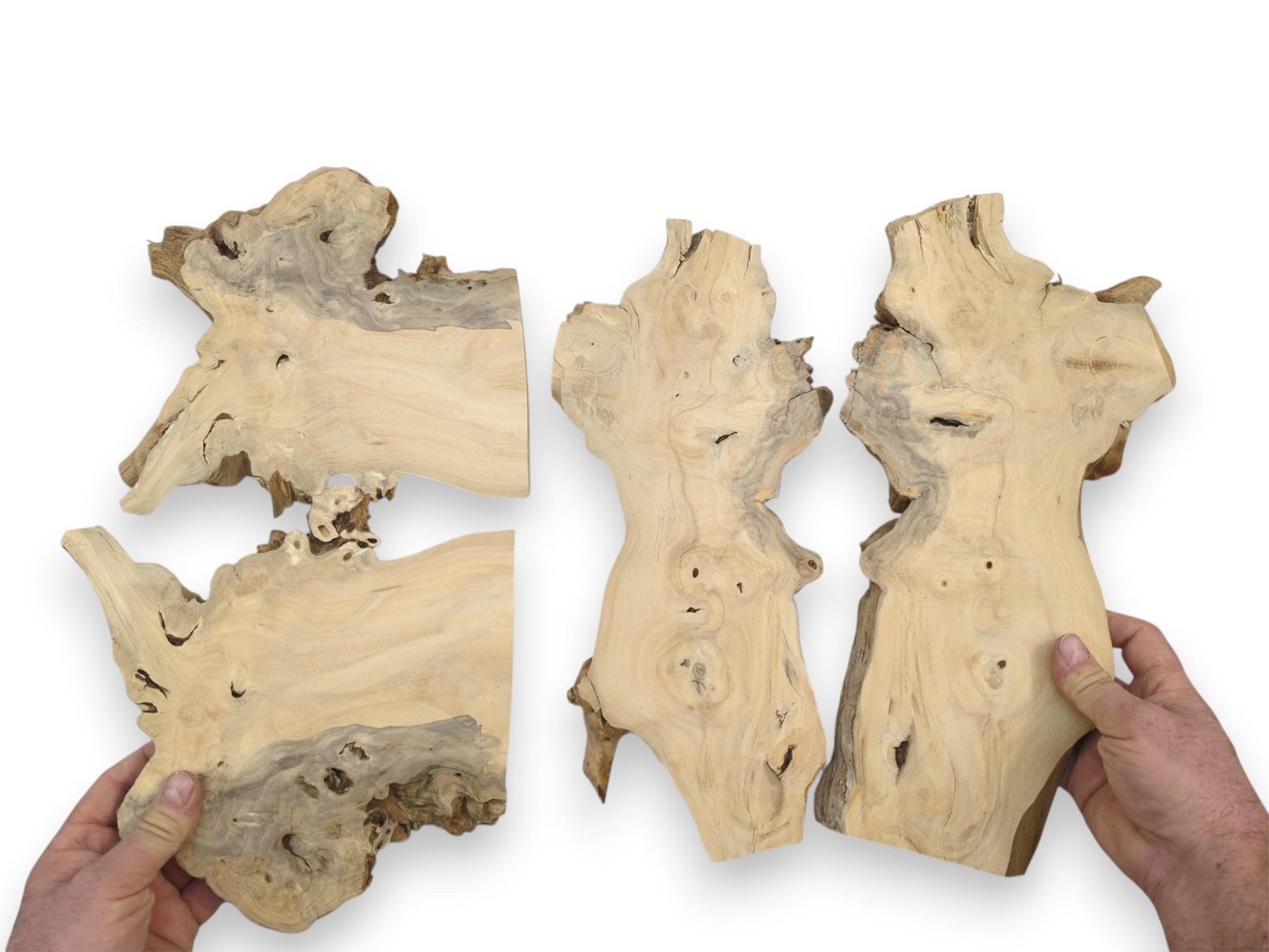 Hands display four irregular wood sections with flowing grain patterns and rugged bark edges.