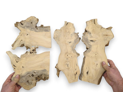 Hands display four irregular wood sections with flowing grain patterns and rugged bark edges.