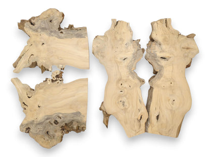 Four pale, gnarled root sections display swirling grain patterns and dark bark inclusions.